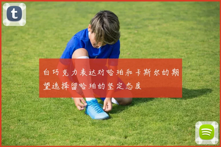白巧克力表达对哈珀和卡斯尔的期望选择留哈珀的坚定态度