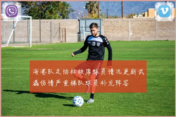 海港队足协杯缺席球员情况更新武磊伤情严重梯队球员补充阵容