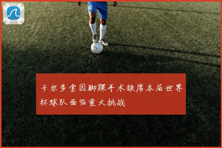 卡尔多索因脚踝手术缺席本届世界杯球队面临重大挑战