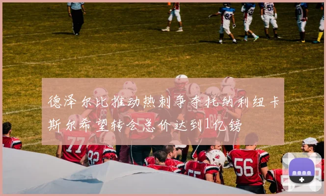 德泽尔比推动热刺争夺托纳利纽卡斯尔希望转会总价达到1亿镑