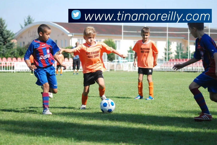 雷火竞技官网全站App